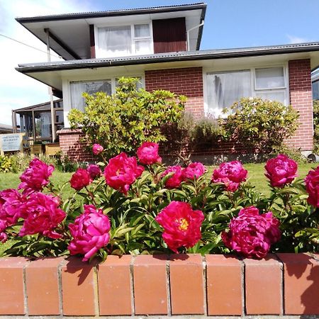 Airport Silver Fern Accommodation Κράισττσερτς Εξωτερικό φωτογραφία