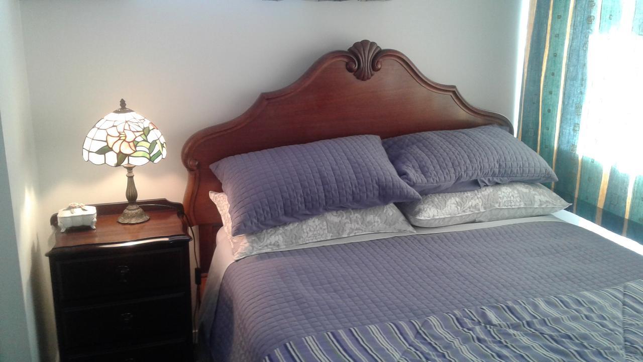 Airport Silver Fern Accommodation Κράισττσερτς Εξωτερικό φωτογραφία